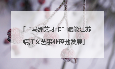 “马洲艺才卡”赋能江苏靖江文艺事业蓬勃发展