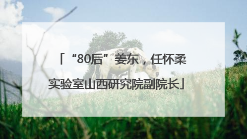 “80后”姜东，任怀柔实验室山西研究院副院长