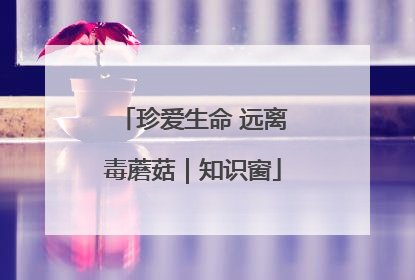 珍爱生命 远离毒蘑菇｜知识窗
