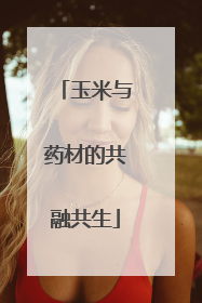 玉米与药材的共融共生