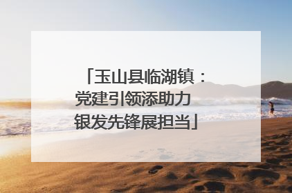 玉山县临湖镇：党建引领添助力 银发先锋展担当