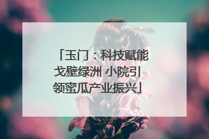 玉门：科技赋能戈壁绿洲 小院引领蜜瓜产业振兴