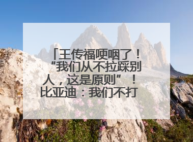 王传福哽咽了！“我们从不拉踩别人，这是原则”！比亚迪：我们不打价格战