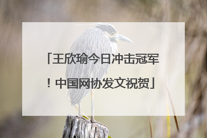 王欣瑜今日冲击冠军！中国网协发文祝贺