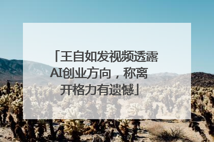 王自如发视频透露AI创业方向，称离开格力有遗憾