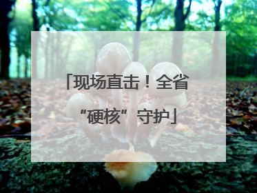 现场直击！全省“硬核”守护
