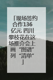 现场签约合作136亿元 四川攀枝花在这场推介会上画“图谱”列“清单”