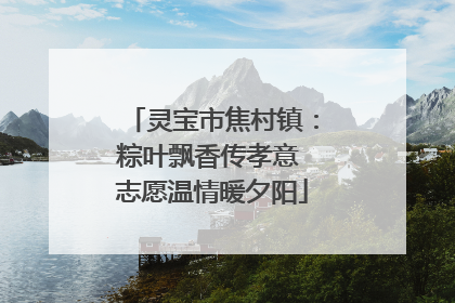 灵宝市焦村镇：粽叶飘香传孝意 志愿温情暖夕阳