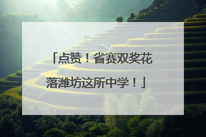 点赞！省赛双奖花落潍坊这所中学！