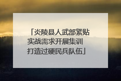 炎陵县人武部紧贴实战需求开展集训 打造过硬民兵队伍