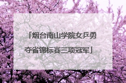 烟台南山学院女乒勇夺省锦标赛三项冠军