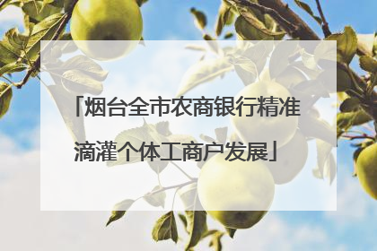 烟台全市农商银行精准滴灌个体工商户发展