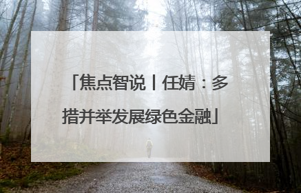 焦点智说丨任婧：多措并举发展绿色金融