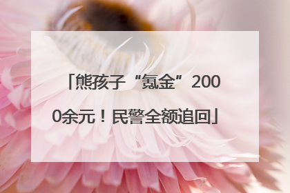 熊孩子“氪金”2000余元！民警全额追回