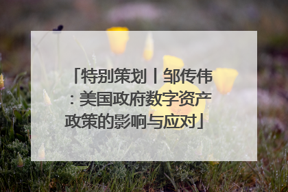 特别策划丨邹传伟：美国政府数字资产政策的影响与应对