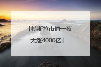 特斯拉市值一夜大涨4000亿