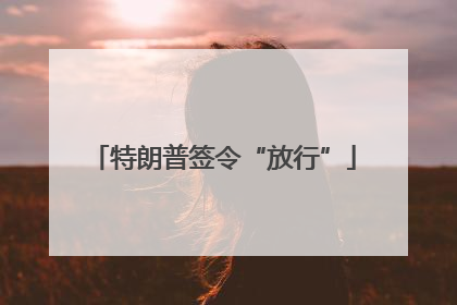 特朗普签令“放行”