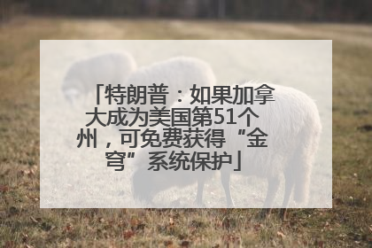 特朗普：如果加拿大成为美国第51个州，可免费获得“金穹”系统保护