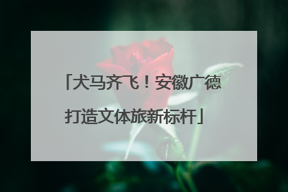 犬马齐飞！安徽广德打造文体旅新标杆