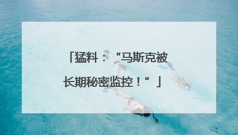 猛料：“马斯克被长期秘密监控！”