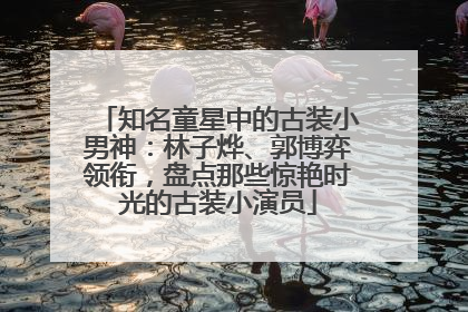 知名童星中的古装小男神：林子烨、郭博弈领衔，盘点那些惊艳时光的古装小演员