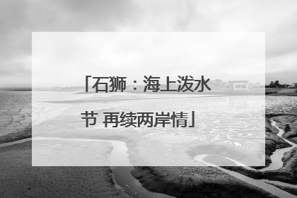 石狮：海上泼水节 再续两岸情