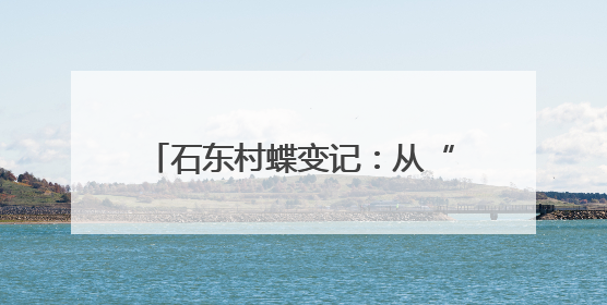 石东村蝶变记：从“穷山沟”到“聚宝盆”的乡村振兴传奇