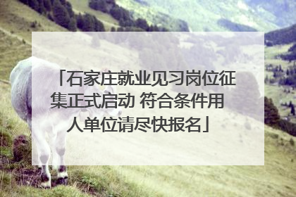 石家庄就业见习岗位征集正式启动 符合条件用人单位请尽快报名