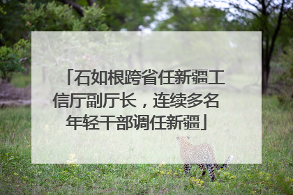石如根跨省任新疆工信厅副厅长，连续多名年轻干部调任新疆