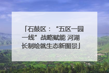 石鼓区：“五区一园一线”战略赋能 河湖长制绘就生态新图景