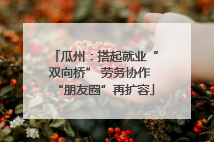 瓜州：搭起就业“双向桥” 劳务协作“朋友圈”再扩容