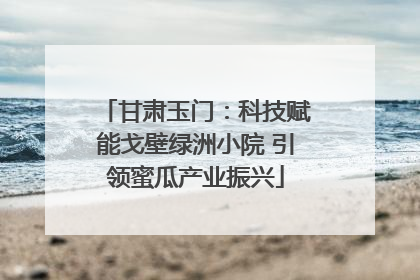 甘肃玉门：科技赋能戈壁绿洲小院 引领蜜瓜产业振兴