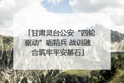 甘肃灵台公安“四轮驱动”砺精兵 战训融合筑牢平安基石