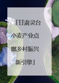 甘肃灵台小麦产业点燃乡村振兴新引擎