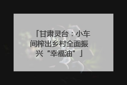 甘肃灵台：小车间榨出乡村全面振兴“幸福油”