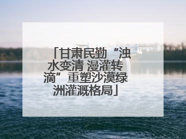 甘肃民勤“浊水变清 漫灌转滴”重塑沙漠绿洲灌溉格局