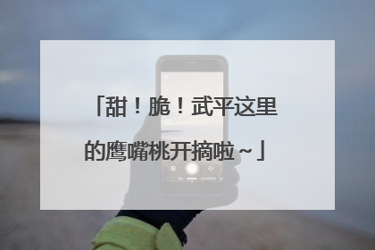甜！脆！武平这里的鹰嘴桃开摘啦～