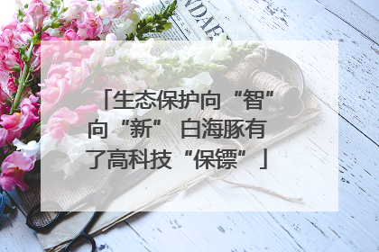 生态保护向“智”向“新” 白海豚有了高科技“保镖”