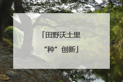 田野沃土里“种”创新