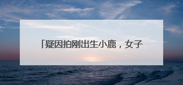 疑因拍刚出生小鹿，女子在市区内遭梅花鹿攻击！