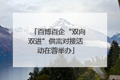 百博百企“双向双进”供需对接活动在蓉举办