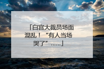 白宫大裁员场面混乱！“有人当场哭了”……