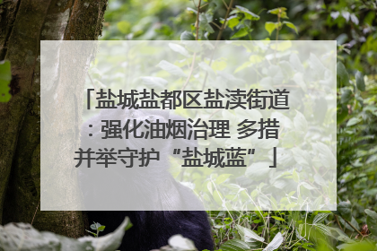 盐城盐都区盐渎街道：强化油烟治理 多措并举守护“盐城蓝”