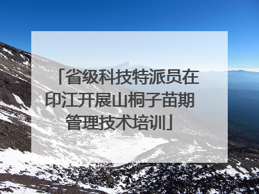 省级科技特派员在印江开展山桐子苗期管理技术培训