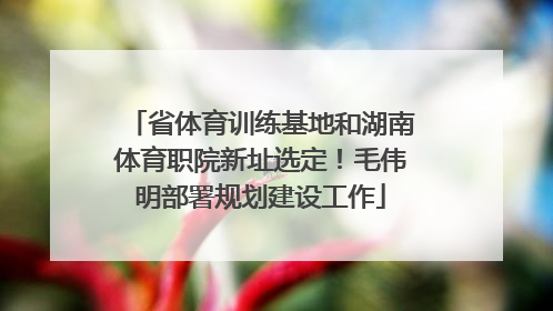 省体育训练基地和湖南体育职院新址选定！毛伟明部署规划建设工作