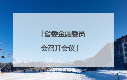 省委金融委员会召开会议