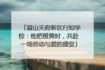 眉山天府新区行知学校：枇杷橙黄时，共赴一场劳动与爱的盛宴