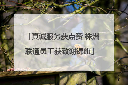 真诚服务获点赞 株洲联通员工获致谢锦旗