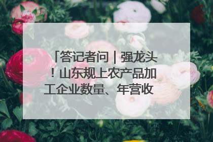 答记者问｜强龙头！山东规上农产品加工企业数量、年营收均居全国首位