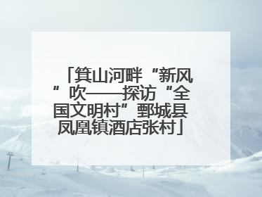 箕山河畔“新风”吹——探访“全国文明村”鄄城县凤凰镇酒店张村